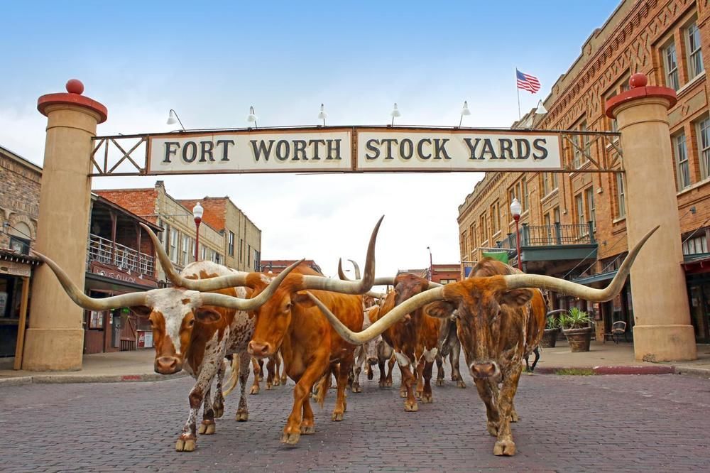 Scottish Inns Fort Worth Dış mekan fotoğraf